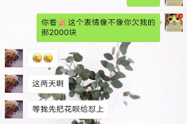 协助杨先生追讨女朋友欠债